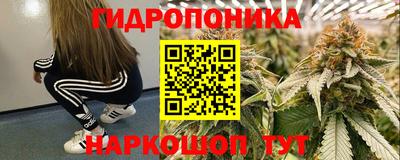 apvp Нарткала