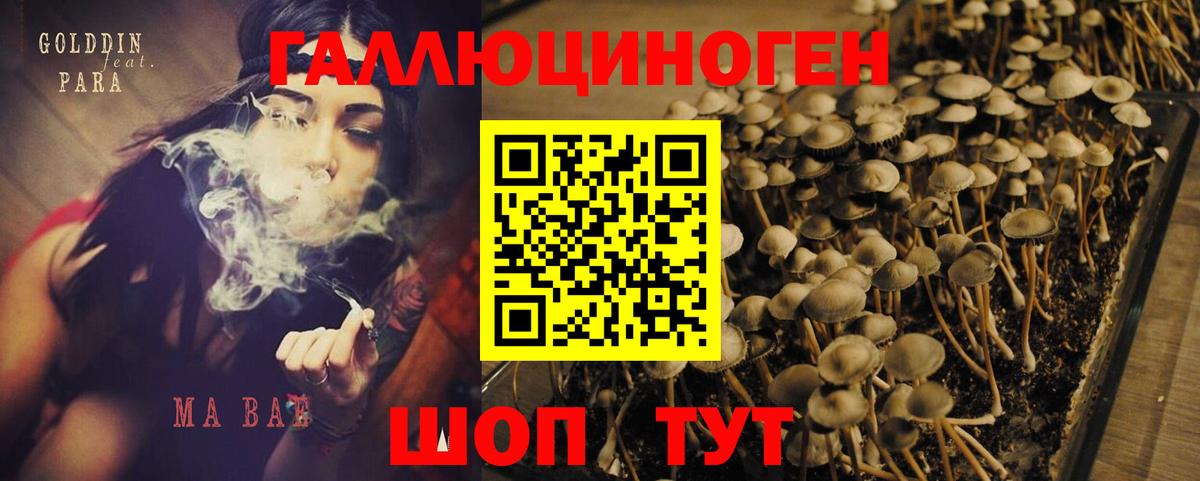 Псилоцибиновые грибы мицелий Будённовск